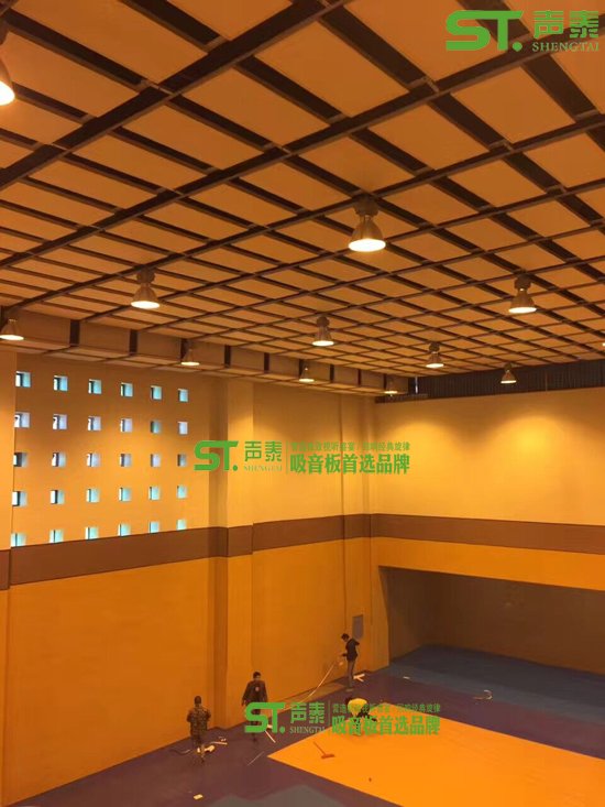 湖南体育馆空间吸声体厂家(图2)