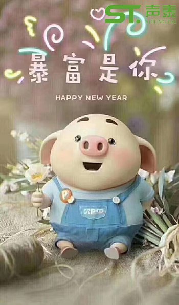 声泰(佛山）全体员工恭祝大家2019新春快乐(图7)